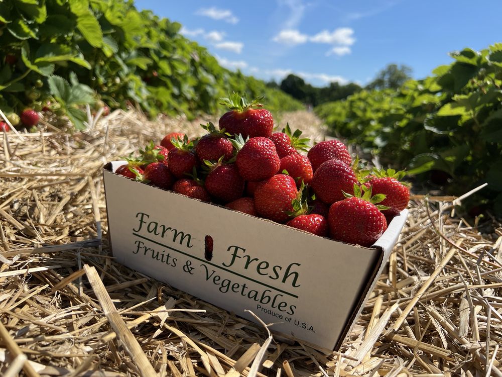 TOUGAS FAMILY FARM Updated September 2024 340 Photos & 192 Reviews