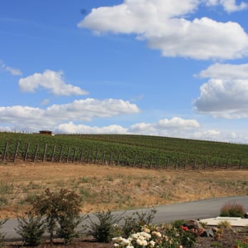 Soléna Estate - Vineyards - Beer, Wine & Spirits Near Me - Yamhill, Oregon Soléna Estate - Vineyards - Beer, Wine & Spirits Near Me - Yamhill, Oregon
