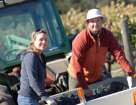 Larner Vineyard & Winery Tasting Room by null