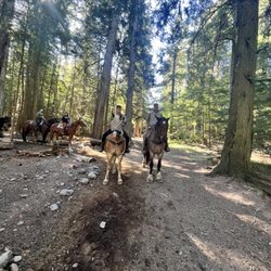 Swan Mountain Outfitters - Glacier - Fly mask was not removed from my horse before a photo.