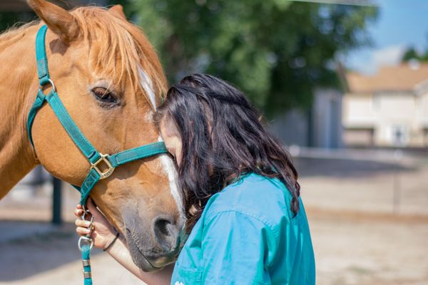 Bel-Rea Institute of Animal Technology
