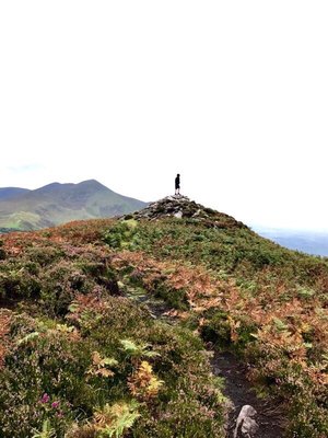 Vagabond Tours of Ireland by null