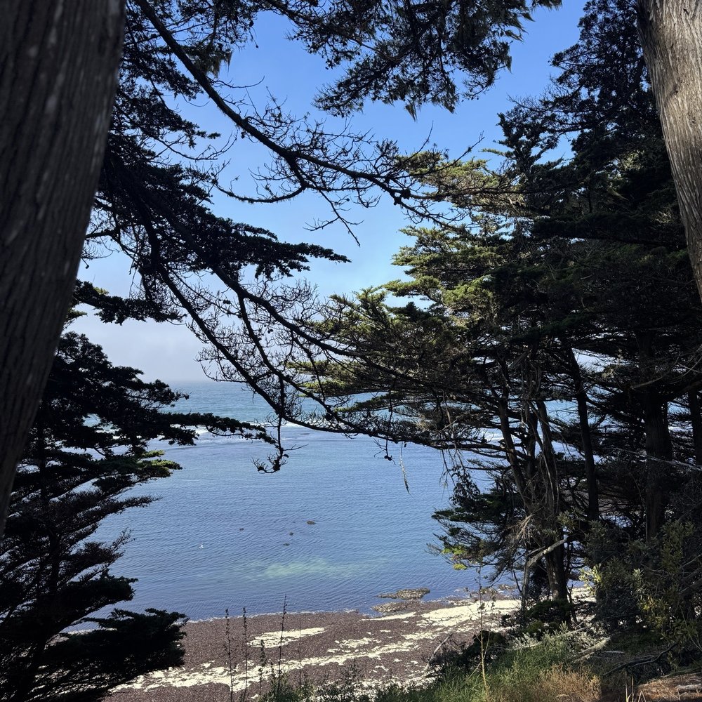 Fitzgerald Marine Reserve - Parks Near Me - Moss Beach, California