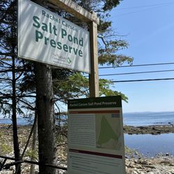 Rachel Carson Salt Pond Preserve