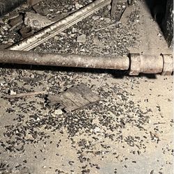 Centennial Properties NY - Rat feces in the basement of 380 E 10th Street