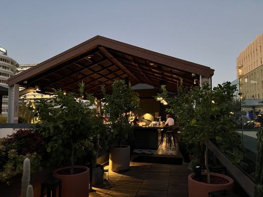 Lemon Grove by null Lemon Grove by null