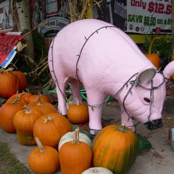 Sit N Bull Saloon - piggy to great you - American Near Me - Indian Hills, Colorado