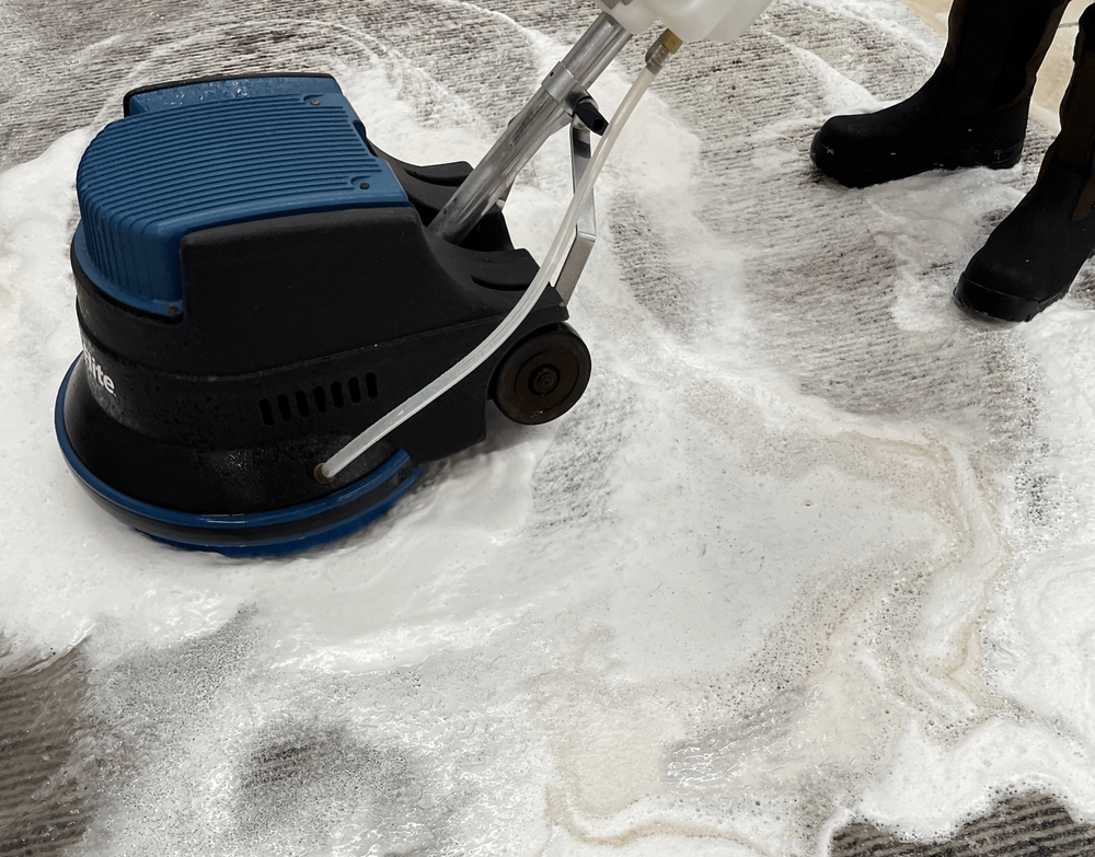 CRISTOMAR FINE RUG CLEANING AND REPAIR Updated September 2024 36