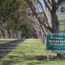Parker Ranch