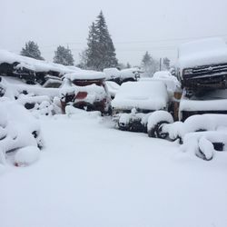 Ram Light Truck Salvage