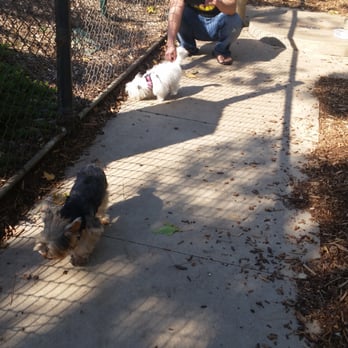 Oberrieder Dog Park - Dog Parks Near Me - Playa Vista, California Oberrieder Dog Park - Dog Parks Near Me - Playa Vista, California