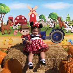 Magic Dream Party Rentals