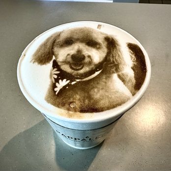 Pappalecco - This is Hermoine on my latte. Isn't that the coolest? - Cafes Near Me - Plano, Texas Pappalecco - This is Hermoine on my latte. Isn't that the coolest? - Cafes Near Me - Plano, Texas