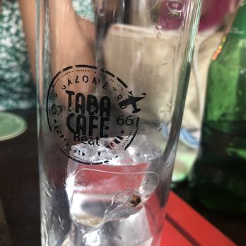 Taba Café - Look close - there is a IBUG in the ice - Cafes Near Me - Rome, RM