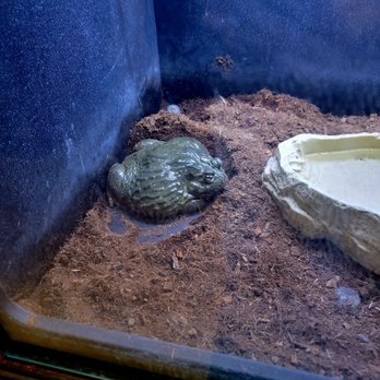 Wildlife Learning Center - Zoos Near Me - Sylmar, California
