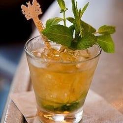 G L-f de Villiers, the Very Best In New Orleans Historic Tours - A luscious-looking Mint Julep from the Carousel Bar at the Hotel Monteleone.