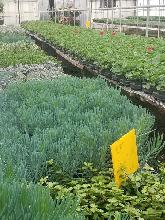 COLONIAL GARDENS AND GREENHOUSE Updated August 2024 3506 Hull Rd, Huron, Ohio