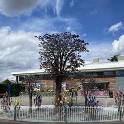 Paultons Park