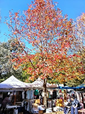 Glebe Markets by null