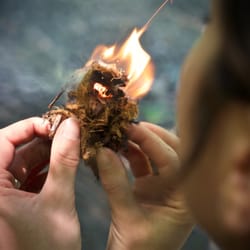 Urban Kid Adventurers - Cedar bark tinder bundle