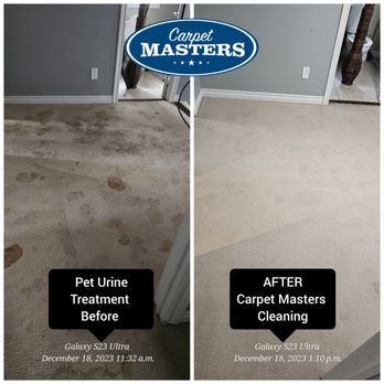 Carpet Masters - Pet urine removal - Carpet Cleaning Near Me - Cambridge, Ontario Carpet Masters - Pet urine removal - Carpet Cleaning Near Me - Cambridge, Ontario