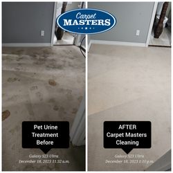 Carpet Masters - Pet urine removal