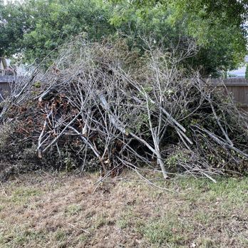 Catheys Austin Tree Service - Tree Services Near Me - Cedar Park, Texas