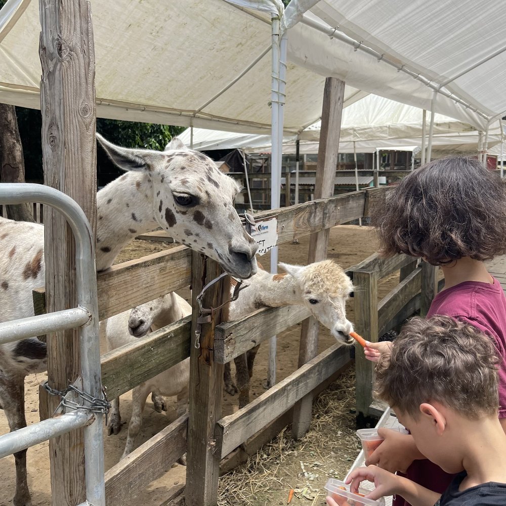 Happi Farm - Community Service/Non-Profit Near Me - Davie, Florida Happi Farm - Community Service/Non-Profit Near Me - Davie, Florida