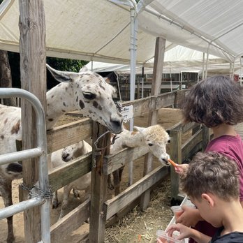 Happi Farm - Community Service/Non-Profit Near Me - Davie, Florida Happi Farm - Community Service/Non-Profit Near Me - Davie, Florida