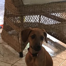 Mika! Age 4 months