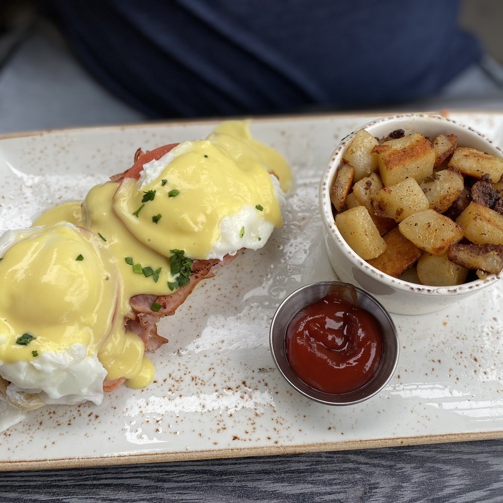 First Watch - Eggs Benedict - Breakfast & Brunch Near Me - Tampa, Florida