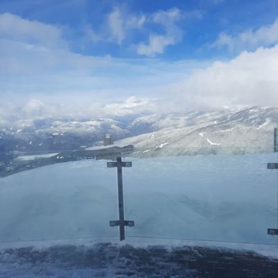 The Umbrella Bar by null