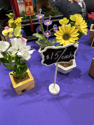 Asian American Resource Center by null