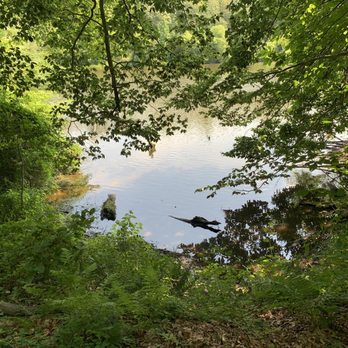 Lake Mercer Park - Lake from the trail - Parks Near Me - Springfield, Virginia