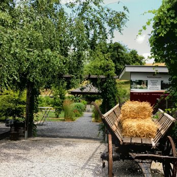Gasthaus Freiseder - Austrian Near Me - Linz, 4