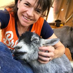 Amber Waves Pygmy Goats & Silkies