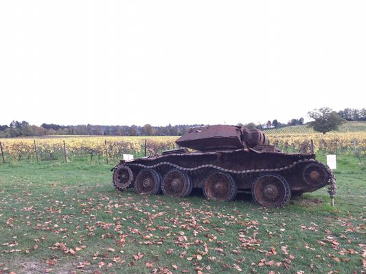 Denbies Wine Estate by null