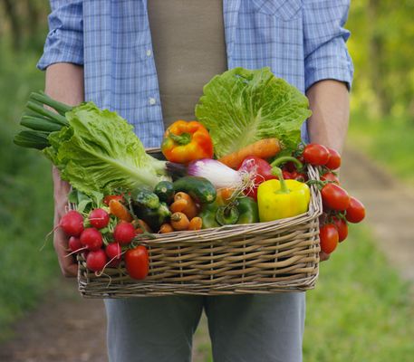 Frisco Rotary Farmers Market by null