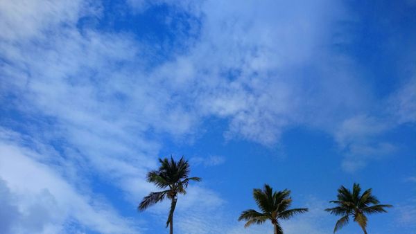 Holiday Inn Ponce & Tropical Casino by IHG by null