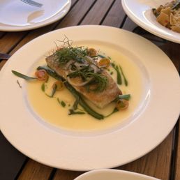 Sea bass Sea bass
