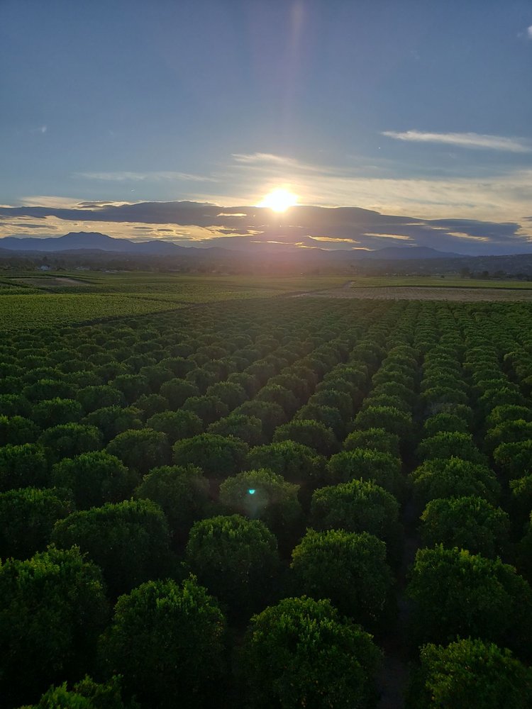 COMPASS BALLOONS 221 Photos & 121 Reviews 34225 Rancho California