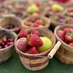 Parker Farmers Market - All kinds of fruits