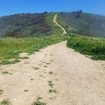 Corral Canyon Park - Parks Near Me - Malibu, California Corral Canyon Park - Parks Near Me - Malibu, California