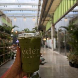 Matcha