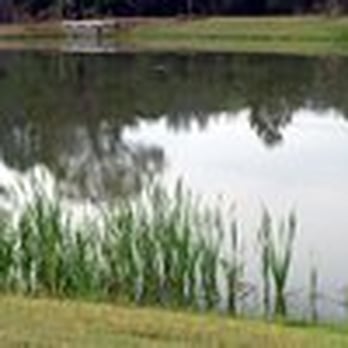 Pecan Park RV Community - Catfish Pond - Campgrounds Near Me - Jacksonville, Florida Pecan Park RV Community - Catfish Pond - Campgrounds Near Me - Jacksonville, Florida