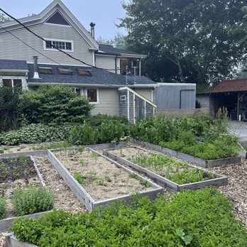 Primo - A backyard garden with multiple raised wooden beds containing different plants and vegetables, adjacent to a house with a gray exterior. - Mediterranean Near Me - Rockland, Maine