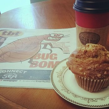 Eclipse Cafe - Banana Nut Muffin and today's TBT. - Coffee & Tea Near Me - Tampa, Florida Eclipse Cafe - Banana Nut Muffin and today's TBT. - Coffee & Tea Near Me - Tampa, Florida