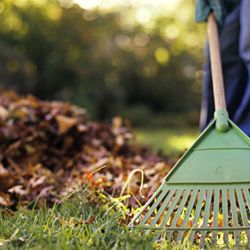 Delatour Group - Fall and Spring Clean Up