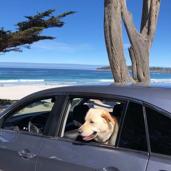 The Service Outlet - Toby in my Acura - Auto Repair Near Me - Lafayette, California The Service Outlet - Toby in my Acura - Auto Repair Near Me - Lafayette, California