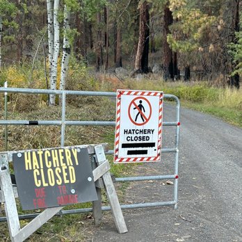 Klamath Fish Hatchery - Tried to visit but....apparently it's closed on 10/3/23. - Aquariums Near Me - Chiloquin, Oregon Klamath Fish Hatchery - Tried to visit but....apparently it's closed on 10/3/23. - Aquariums Near Me - Chiloquin, Oregon